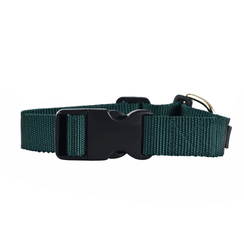 Nylon Dog Collar
